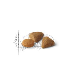 Royal Canin Exigent Savour Seçici Yetişkin Kedi Maması 2 kg