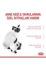 Royal Canin Mother Babycat Anne ve Yavru Kedi Maması 2 Kg