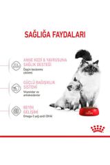 Royal Canin Mother Babycat Anne ve Yavru Kedi Maması 2 Kg