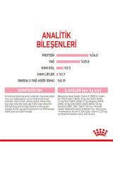 Royal Canin Mother Babycat Anne ve Yavru Kedi Maması 2 Kg