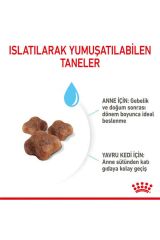 Royal Canin Mother Babycat Anne ve Yavru Kedi Maması 2 Kg