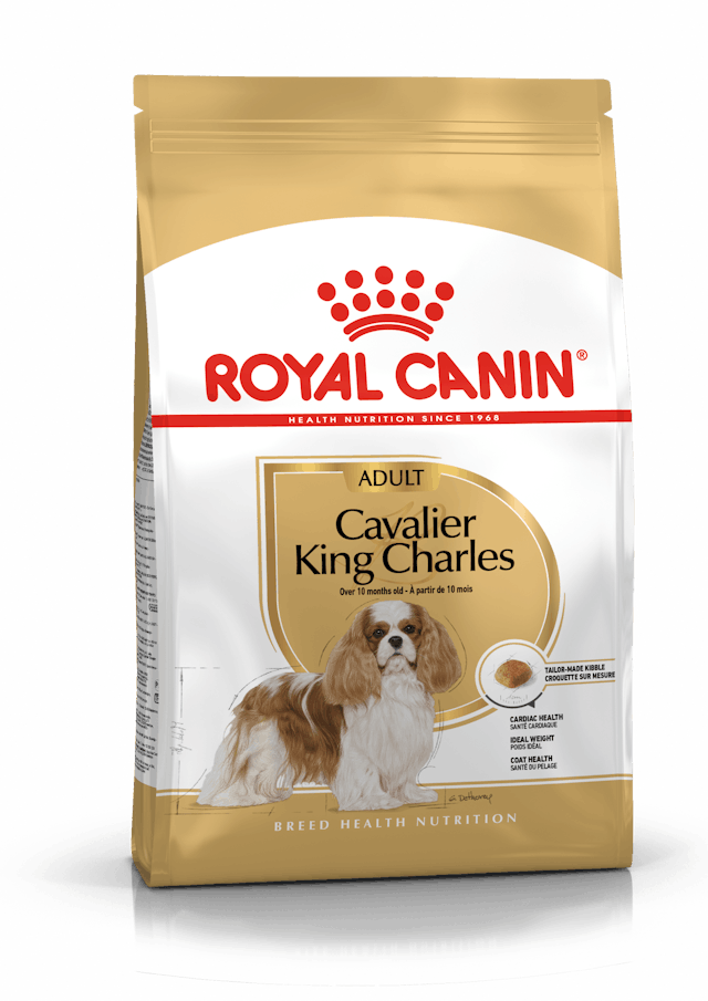 Royal Canin Cavalier King Charles 1.5 kg Irka Özel Yetişkin Köpek Maması