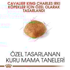 Royal Canin Cavalier King Charles 1.5 kg Irka Özel Yetişkin Köpek Maması