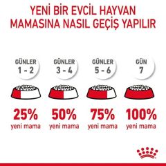 Royal Canin Hair Skin Deri ve Tüy Sağlığı için Kedi Maması 4 kg