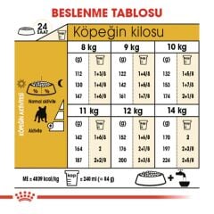 Royal Canin French Bulldog Yetişkin Köpek Maması 3kg