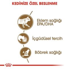 Royal Canin Ageing +12 Gravy Pouch Yaşlı Konserve Kedi Maması 85 gr