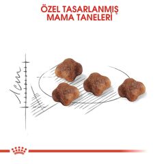 Royal Canin Mother&Babycat Yavru Kedi Maması 4kg