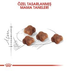 Royal Canin Mother&Babycat Yavru Kedi Maması 4kg