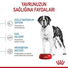Royal Canin Giant Junior 15 kg Dev Irk Yavru Köpek Maması