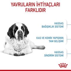 Royal Canin Giant Junior 15 kg Dev Irk Yavru Köpek Maması