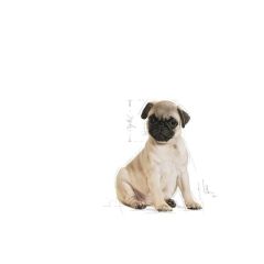 Royal Canin Pug Junior Yavru Köpek Maması 1.5 Kg