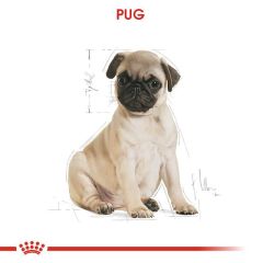 Royal Canin Pug Junior Yavru Köpek Maması 1.5 Kg