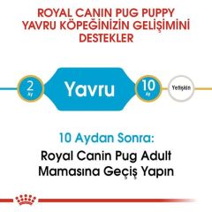 Royal Canin Pug Junior Yavru Köpek Maması 1.5 Kg