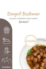 Anatolian Premium Adult Chicken Tavuklu Yetişkin Kedi Konserve 400 gr