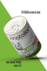 Anatolian Premium Adult Lamb Kuzulu Parça Etli Yetişkin Köpek Konservesi 400 gr