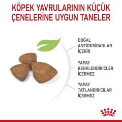Royal Canin Xsmall Puppy 3 kg Yavru Köpek Maması
