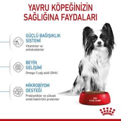 Royal Canin Xsmall Puppy 3 kg Yavru Köpek Maması