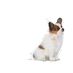 Royal Canin Xsmall Puppy 3 kg Yavru Köpek Maması