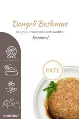 Anatolian Premium Adult Lamb Pate Kuzulu Yetişkin Ezme Kedi konservesi 400 gr
