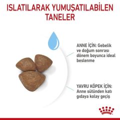 Royal Canin Mini Starter Mother & Babydog 4 kg Köpek Maması