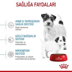 Royal Canin Mini Starter Mother & Babydog 4 kg Köpek Maması