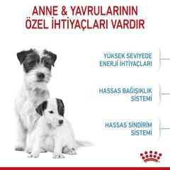 Royal Canin Mini Starter Mother & Babydog 4 kg Köpek Maması