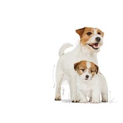 Royal Canin Mini Starter Mother & Babydog 4 kg Köpek Maması