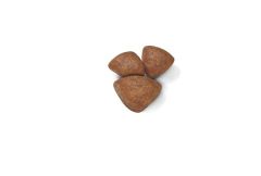 Royal Canin Mini Starter Mother & Babydog 4 kg Köpek Maması