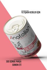 Anatolian Premium Adult Salmon Somonlu Parça Etli Yetişkin Köpek Konservesi 400 gr