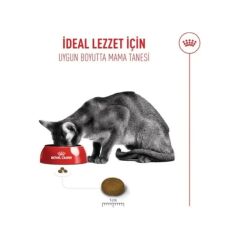 Royal Canin Fussy Exigent Seçici Yetişkin Kedi Maması 2 Kg