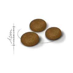 Royal Canin Fussy Exigent Seçici Yetişkin Kedi Maması 2 Kg