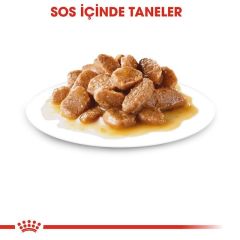 Royal Canin Adult Mini Gravy Pouch Köpek Konserve Maması