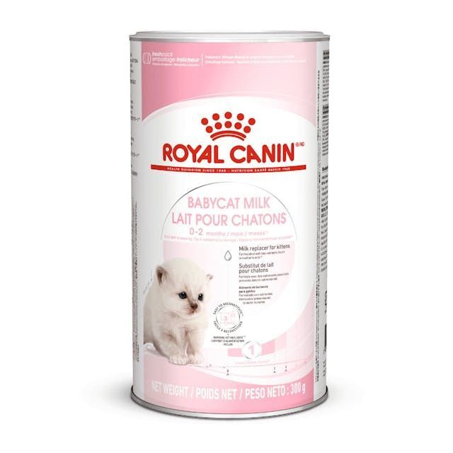 Royal Canin Babycat Milk 300 gr Yavru Kedi Süt Tozu