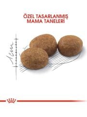 Royal Canin Sterilised 15 kg Kısırlaştırılmış Yetişkin Kedi Maması