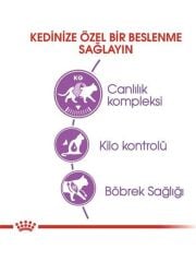 Royal Canin Sterilised 15 kg Kısırlaştırılmış Yetişkin Kedi Maması