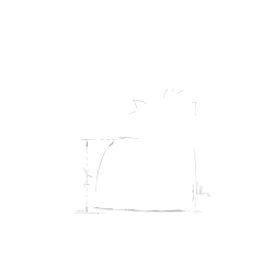 Royal Canin Yorkshire Terrier Adult Yetişkin Köpek Maması 1.5 kg