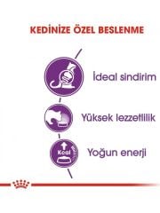 Royal Canin Sensible 33 15 kg Hassas Yetişkin Kuru Kedi Maması