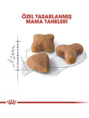 Royal Canin Sensible 33 15 kg Hassas Yetişkin Kuru Kedi Maması