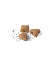 Royal Canin Sensible 33 15 kg Hassas Yetişkin Kuru Kedi Maması