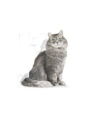 Royal Canin Sensible 33 15 kg Hassas Yetişkin Kuru Kedi Maması