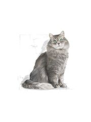 Royal Canin Sensible 33 15 kg Hassas Yetişkin Kuru Kedi Maması