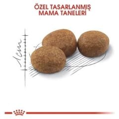 Royal Canin Sterilised 37 Kısırlaştırılmış Kedi Maması 4kg