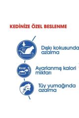 Royal Canin Indoor 27 2 kg Ev Kedileri İçin Yetişkin Kuru Kedi Maması