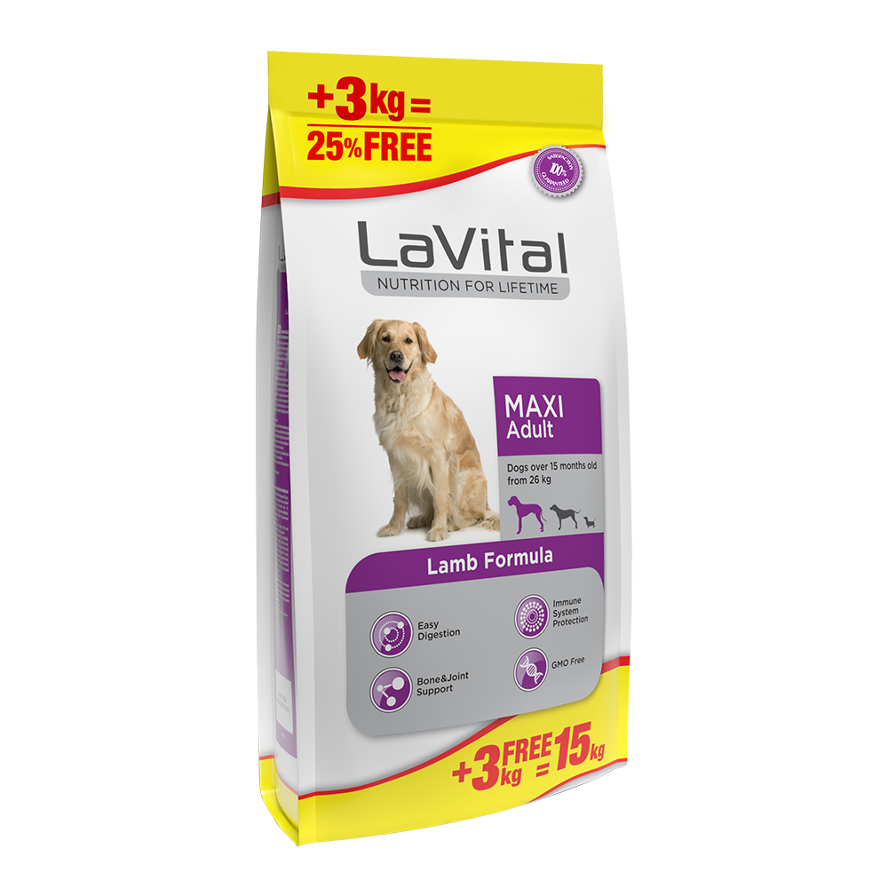 Büyük Irk Yetişkin Kuru Köpek Maması (Maxi Adult) Kuzu Etli 12 + 3 KG