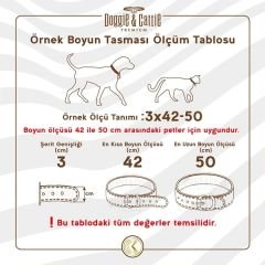 Cattie Gerçek Deriden Taşlı Kedi Boyun Tasması  1x20-23 Cm