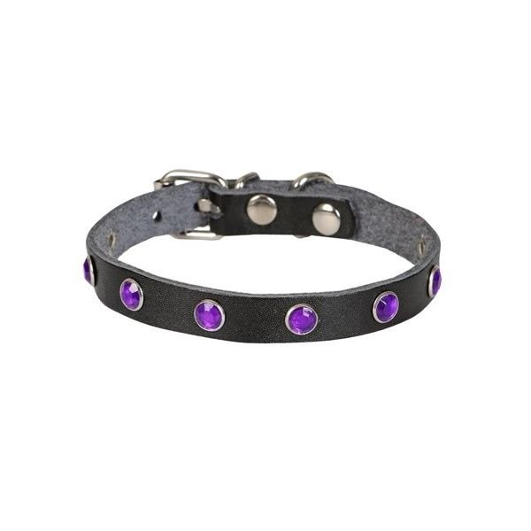 Cattie Gerçek Deriden Taşlı Kedi Boyun Tasması  1x20-23 Cm