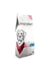 Anatolin Premium Somonlu Yetişkin Köpek Maması 18 Kg