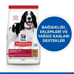 Hill's Adult Medium Lamb Rice Kuzu Etli ve Pirinçli 14 kg Yetişkin Köpek Maması