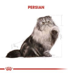 Royal Canin Adult Persian İran Kedilerine Özel 2 kg Yetişkin Kuru Kedi Maması