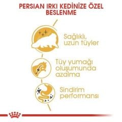 Royal Canin Adult Persian İran Kedilerine Özel 2 kg Yetişkin Kuru Kedi Maması